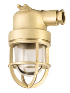 Glass globe with protection guard