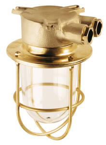 Cover glass with protection guard